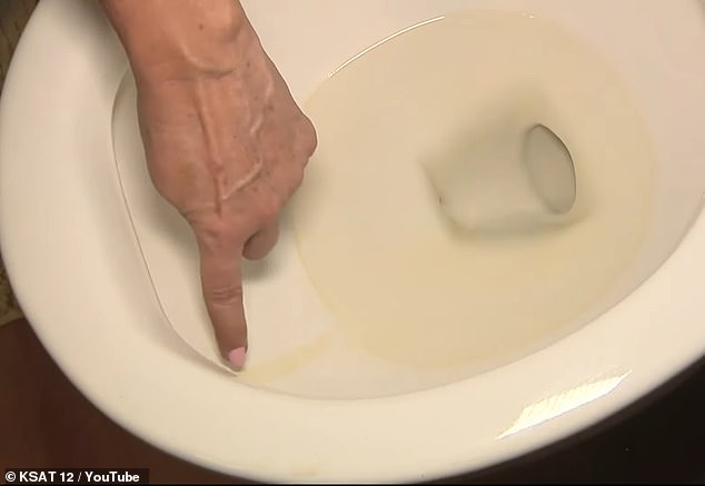 Wilcoxson says her porcelain toilets are stained from the discolored water that continually flows through the taps and pipes