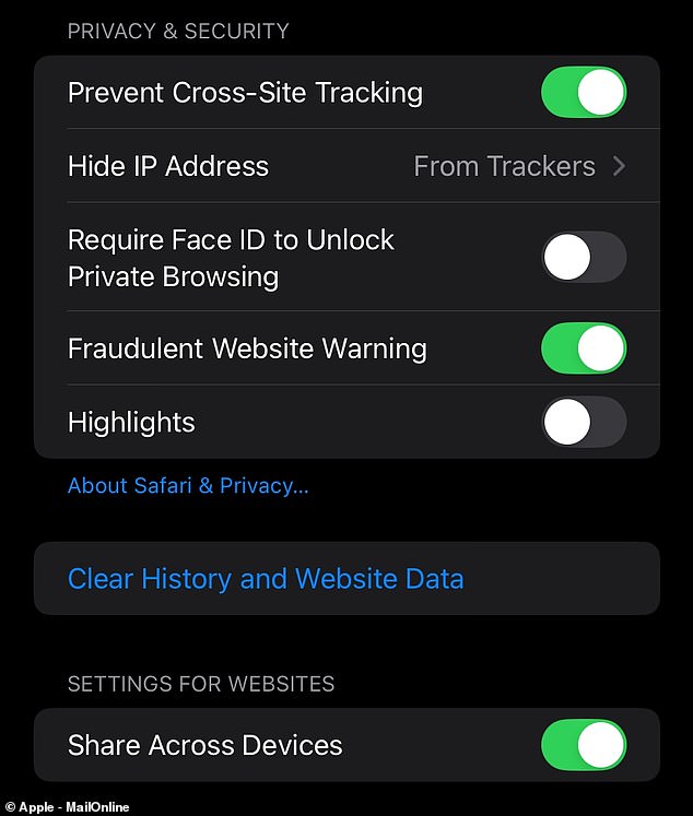 You can clear your browsing data and cache to reduce the chances of the app crashing on iPhone. To do this, navigate to the 'Safari' tab in the 'Settings' app and select 'Clear history and website data' (in blue)