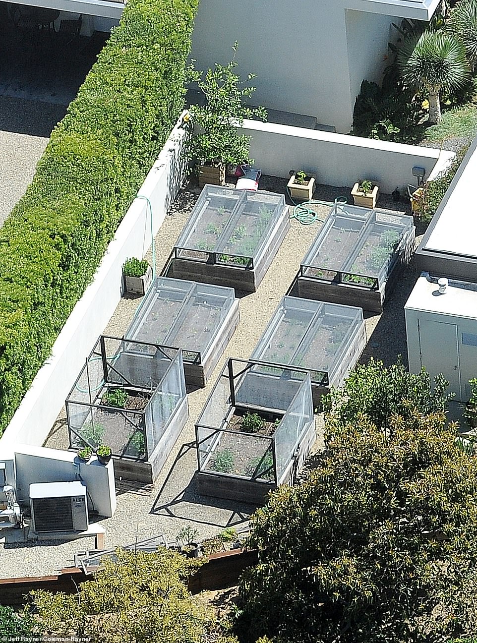 It seems Aniston was happy to give up her herb garden to give her three dogs a good space to play