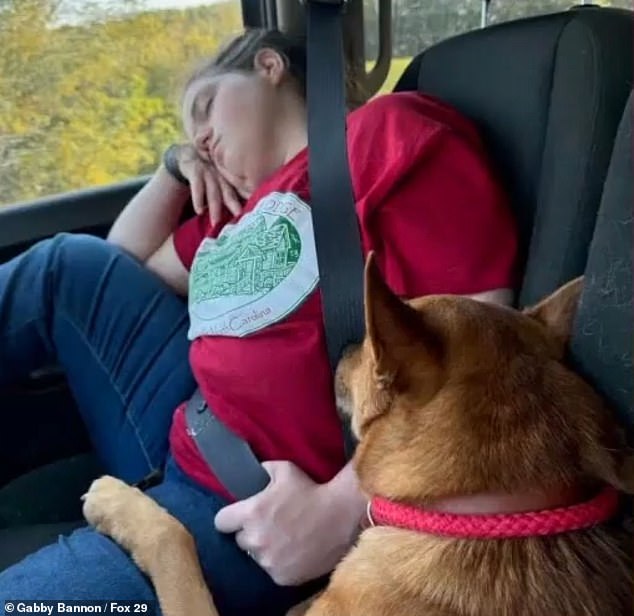 The couple went to the local Humane Society to round up 35 shelter dogs and bring them back to Pennsylvania to find their families — but one particular dog immediately stole their hearts