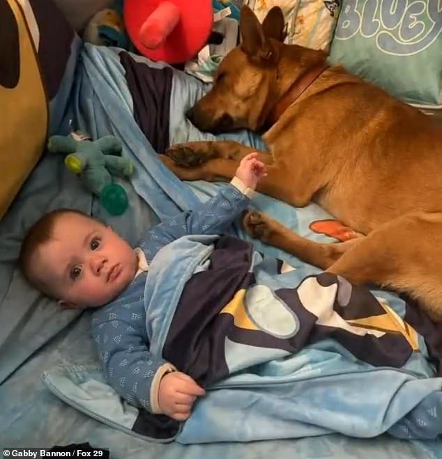 The dog was given a new name – Rusty – and fit right in with the family, including Michael, her two-year-old son, and Wesley, her six-month-old son.