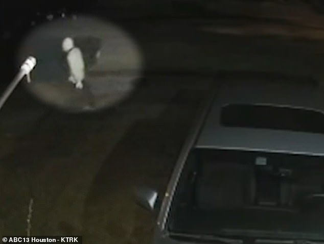 Witnesses further told KHOU that the man in the Myers mask – who was seen lurking near the scene on CCTV footage – walked up to the victim while he was in the garage.