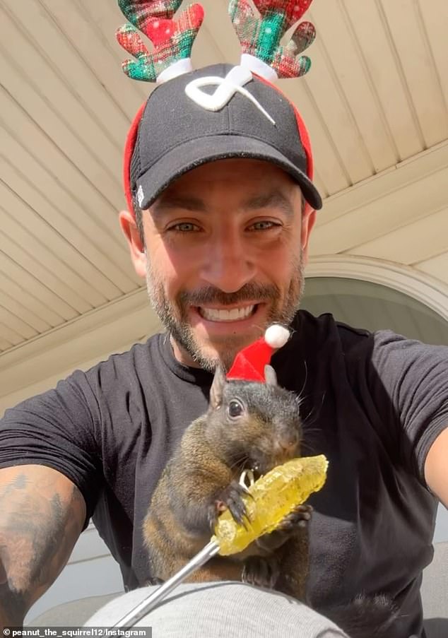 Peanut the squirrel and his owners, Mark Longo and his wife, Daniela, are featured in Peanut's Instagram videos and photos