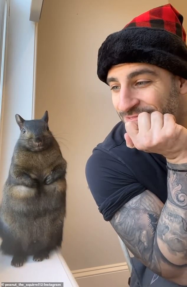 A scroll through Peanut's Instagram account confirms that he was no ordinary squirrel