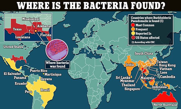 The map above shows countries where the bacteria have been detected and the US states where the CDC says the bacteria is endemic