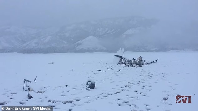 Pictured: the wreckage of a crash in Alpine, Wyoming in March 2016