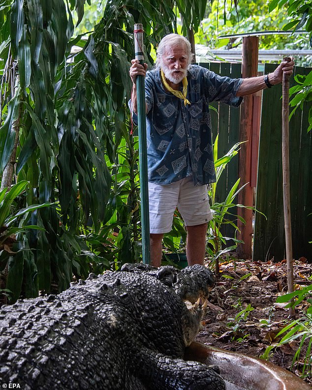 Cassius was known to prowl the waterways of Australia before his lifetime before being brought to Marineland Marineland Melanesia Crocodile Habitat