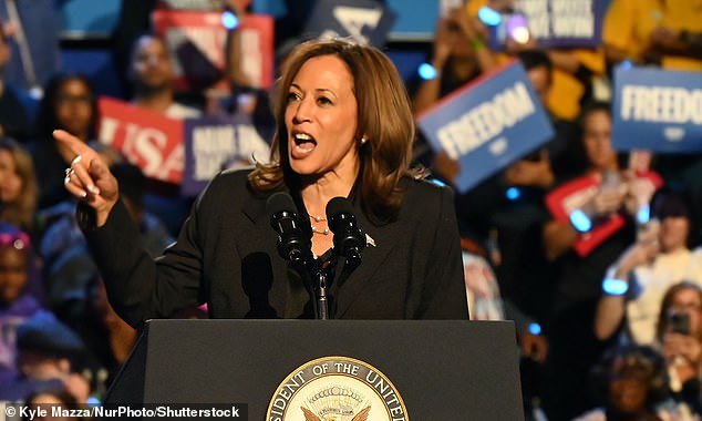 Vice President of the United States Kamala Harris delivers remarks during a campaign rally at the Wisconsin State Fair Park Exposition Center in West Allis