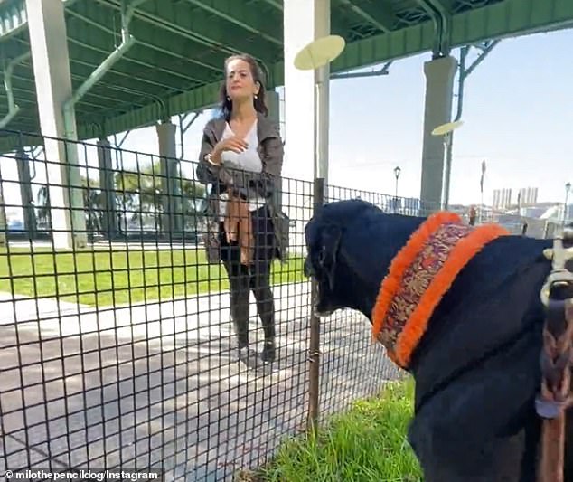 The woman started talking to the dog when Rimma stopped responding to her