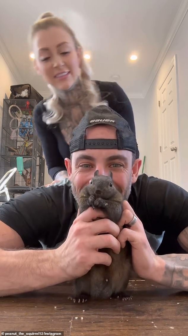 Peanut the squirrel and his owners, Mark Longo and his wife, are featured in Peanut's Instagram videos and photos