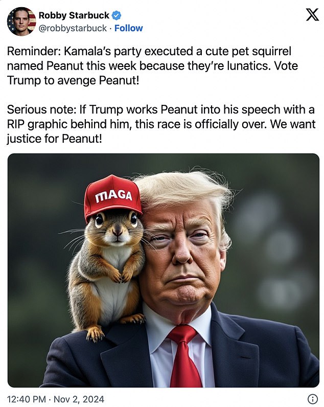 1730608049 46 Euthanized squirrel becomes bizarre election talking point after fake Trump