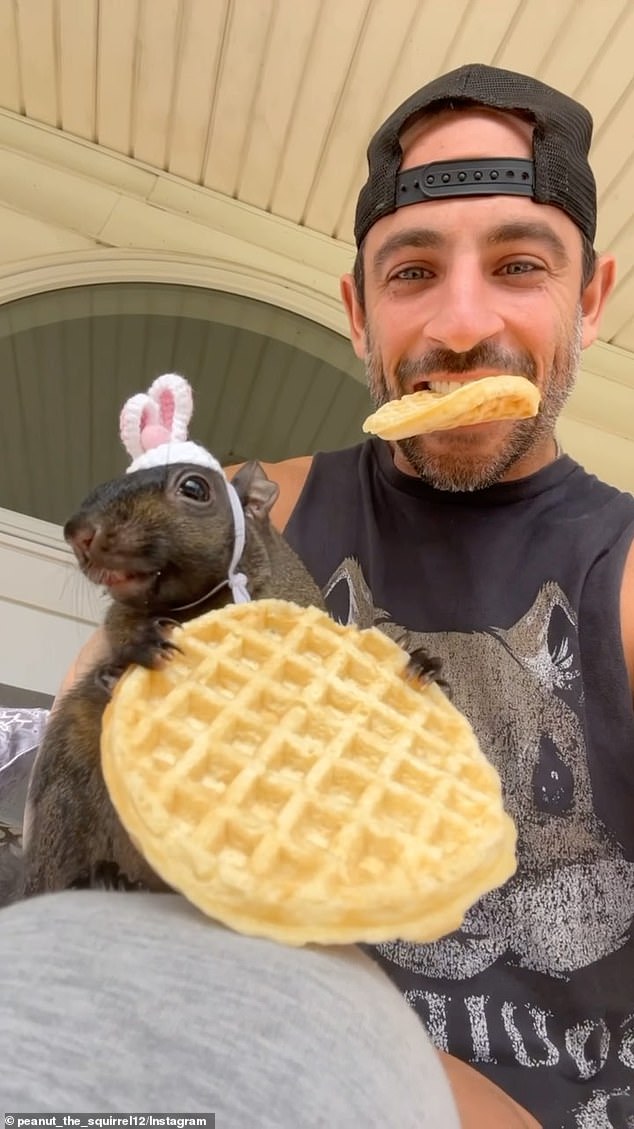 In one of his popular photos, Peanut was eating a waffle while wearing crocheted bunny ears