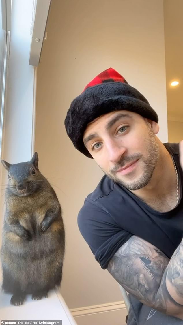 Others called for someone to take revenge on behalf of the squirrel, who had more than half a million followers – and had touched the hearts of many more – on social media.