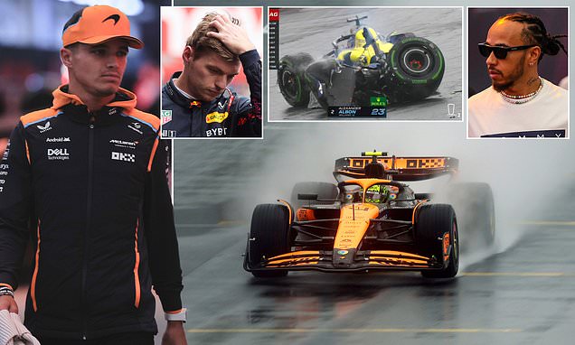 1730649485 310 Brazilian Grand Prix LIVE Lap by lap updates as Lando Norris starts