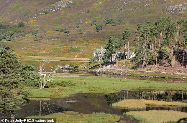 The estate (pictured) is located 15 miles from Loch Ness and was purchased in 2018 by Spencer's businessman father David.