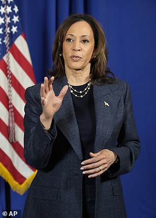 Vice President Kamala Harris speaks to reporters after speaking during a church service at the Greater Emmanuel Institutional Church of God in Christ on Sunday, November 3 in Detroit, Michigan