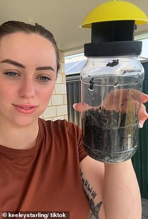 She was surprised to find that the bottle was almost half full of dead flies