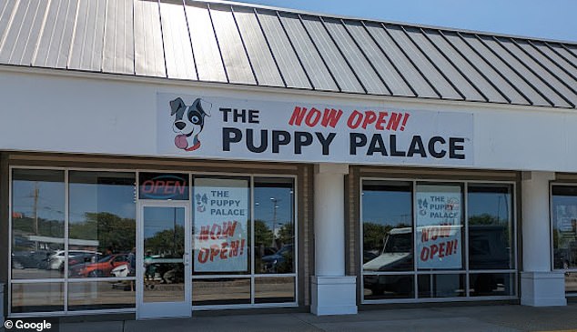 Tipirneni's Puppy Palace franchise opened in May 2023 in Manchester, New Hampshire.