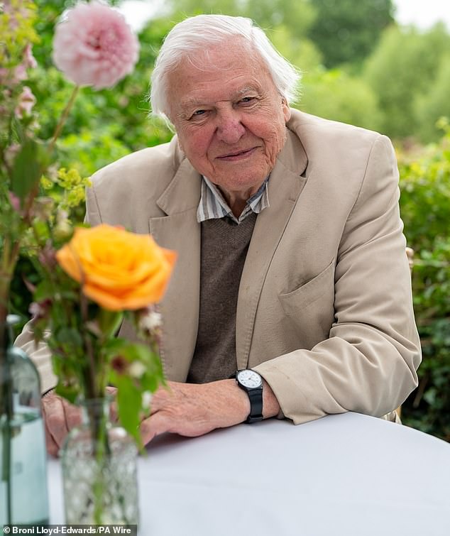 Sir David may be 98, but there's still an unmistakable twinkle of excitement in his eye as he introduces his new series