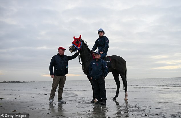 But the horse appeared to quickly regain his composure and was seen walking back to his trainers on the beach unharmed.