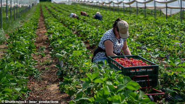 Federal Nationals leader David Littleproud and the National Farmers' Federation have also criticized the reporting, which will affect at least 1,800 businesses from next year.