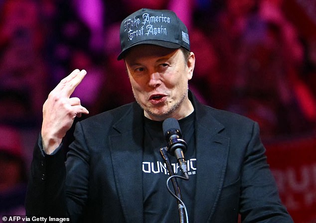 Tesla and SpaceX CEO Elon Musk speaks during a rally for Republican presidential candidate Donald Trump at Madison Square Garden in New York on October 27