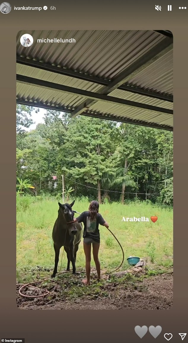 On Monday, she shared another sweet sight on her Instagram stories: this time a repost of someone petting and washing a brown horse named Arabella.