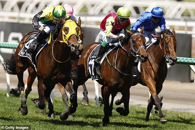 The Melbourne Cup was won in a thrilling finish by outsider Knight's Choice