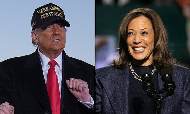 1730809343 317 Presidential Election Day 2024 live updates Polls open as Kamala