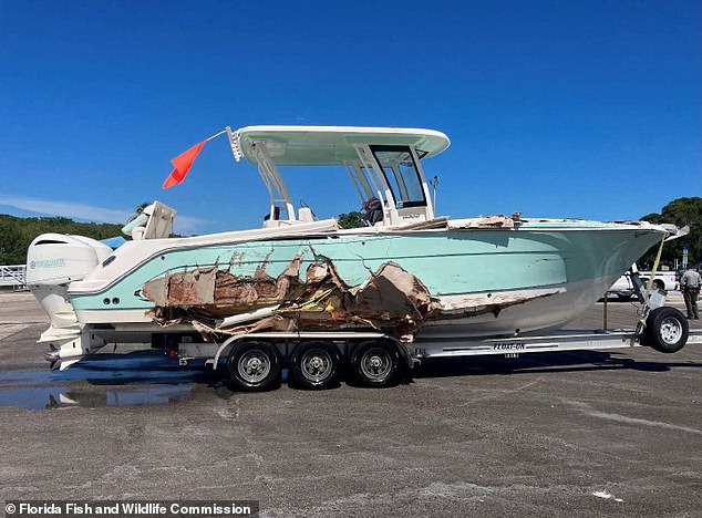 Pino piloted this 29-foot Robalo boat. In the photo: The right side of the ship was torn open during the crash