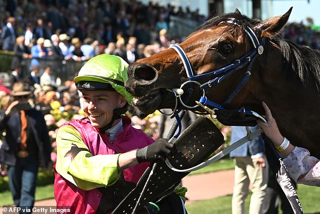 Channel Nine showed Robbie Dolan and Knight's Chance's epic ride on Tuesday as the outsiders won the Melbourne Cup