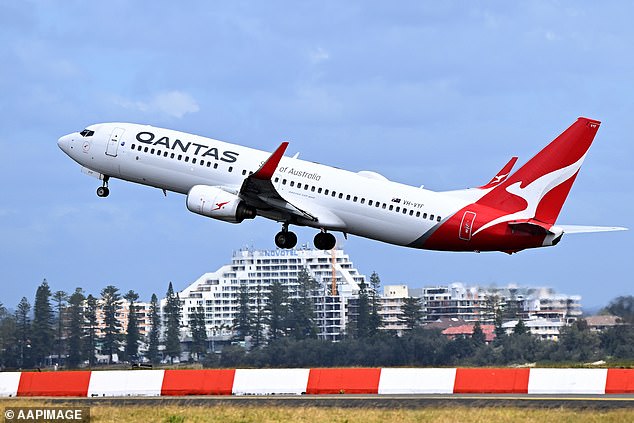 The case was settled out of court and Qantas has updated its 'further information form' to assist with service animal registration applications (pictured stock photo of a Qantas aircraft)