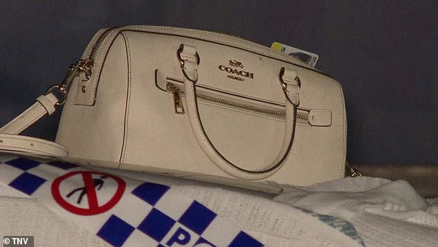 Johnny Di Marcello, 48, was arrested and charged with breaching an AVO, driving while disqualified and driving without the owner's consent (photo: woman's handbag left on top of car)