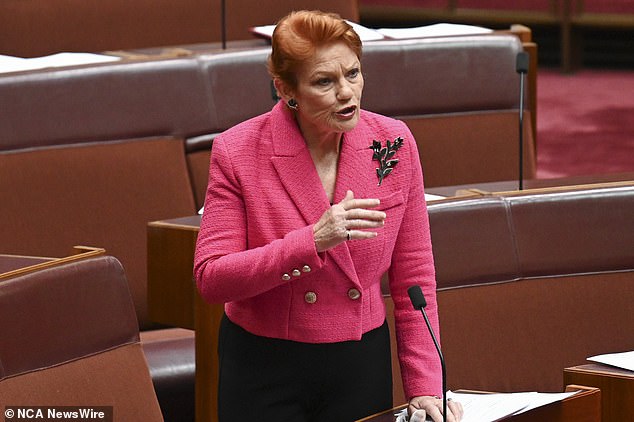 Senator Hanson claimed the decision gave her the view that Australia is 'not the same country' she 'grew up' in and that it was an attack on freedom of speech