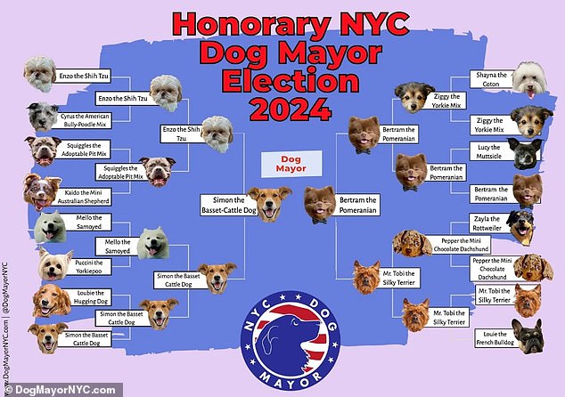 As Americans head to the polls to vote for the next US president, there has been a shocking twist in the election of the Honorary NYC Dog Mayor, with participants decrying crypto users