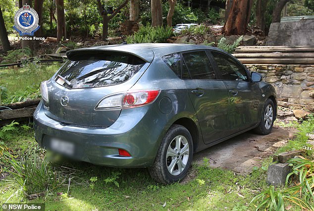 Police seized the foster mother's car the morning William disappeared in September 2014, but the gray Mazda 3 (above) does not resemble the vehicles the truck driver saw on the street that morning.