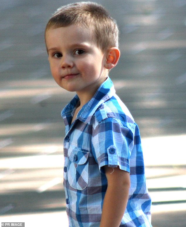 The latest hearings in the William Tyrrell inquiry are examining police's theory that William fell from the balcony of his grandmother's house and that his remains were buried in bushland.