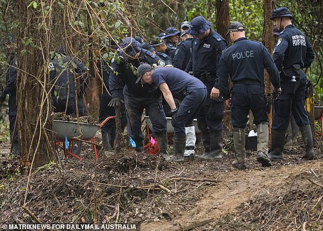 Police are searching bushland along Batar Creek Road, Kendall, where a truck driver said he saw a woman throw an object from a car on the morning William Tyrrell disappeared