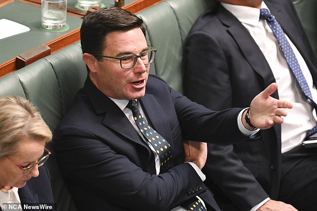 Despite the misconduct, Opposition Leader Peter Dutton and Nationals leader David Littleproud (pictured) are unlikely to sack Senator McKenzie