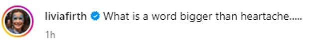 Activist Livia Firth also shared her anguish on social media, expressing her despair by writing: “What is a word greater than heartache?”