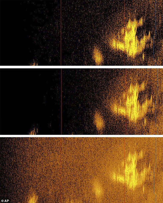 Earlier this year, Deep Sea Vision released sonar images (photo). They said it could be the remains of the plane Earhart was flying when she disappeared over the Pacific Ocean in 1937. Now it turns out that it is a pile of stones.