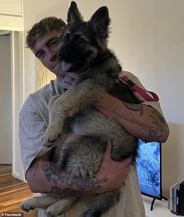 The civil engineer (pictured with his dog Wolfie) has to move to the Gold Coast for work and the post looking for accommodation attracted not only rental properties but also 300 friend requests from around the world