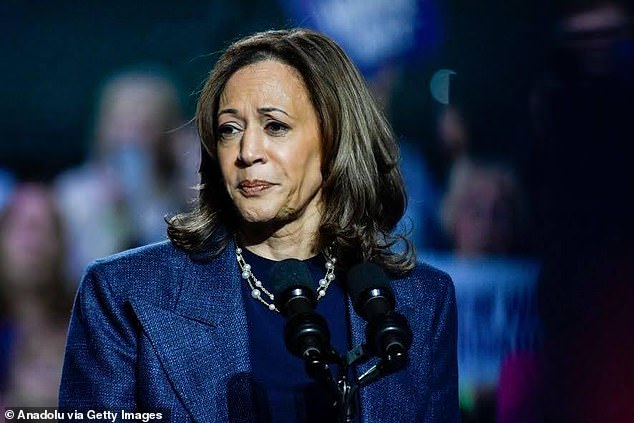 Kamala Harris failed to convincingly outperform Joe Biden in any U.S. district, as Jameela wrote: “We elevated race and gender politics above policy and the working class, and demonstrated the full integrity we expect from the opposition demanded