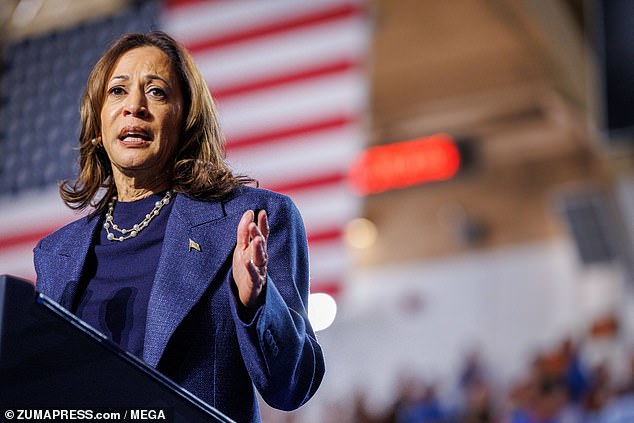 Sanders-Townsend clarified that she believed Harris “left everything on the field,” but added that she “takes issue with some of the strategy.”