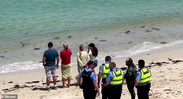 Emergency services, including police and surf lifesavers, rushed to the scene after the alarm was raised that the woman was in distress (photo police and beach visitors on site)