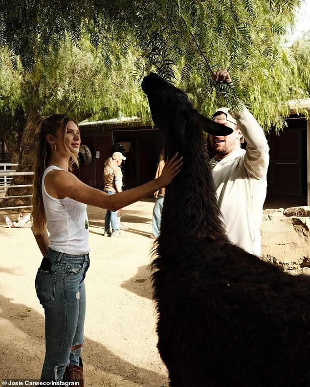 She and Johnny were seen interacting with an alpaca. The couple made their relationship public in April