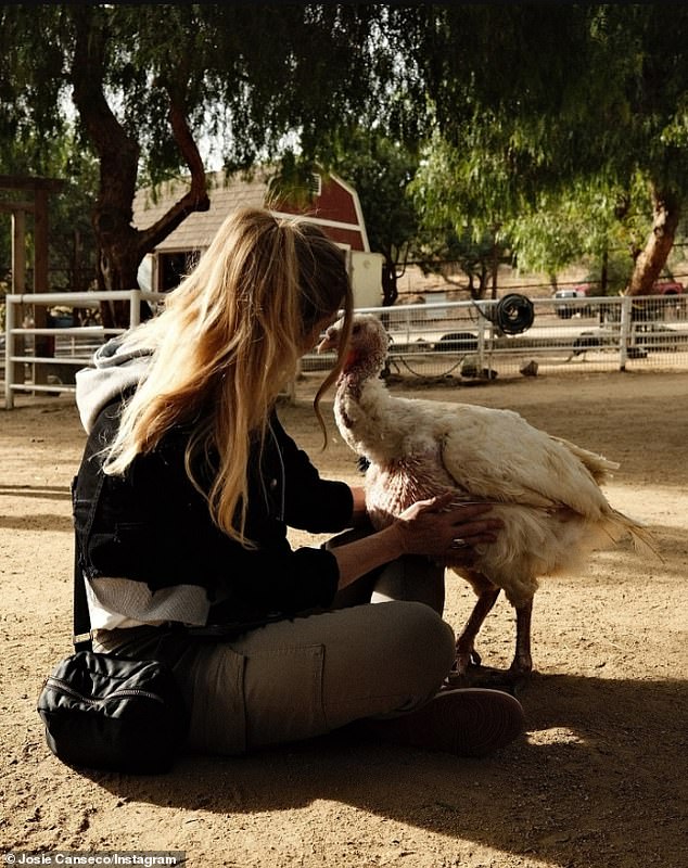 Her mother seemed to be enjoying herself at the animal shelter