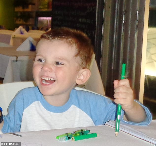 1730956089 754 Did you find William Tyrrells body there For the first