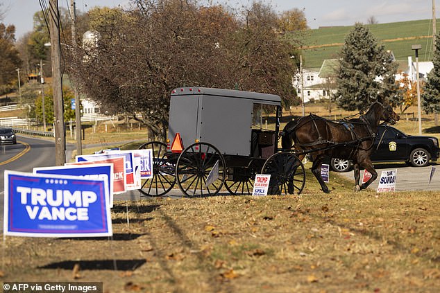 While the exact number of Amish voters remained unclear Tuesday evening, images revealed horse-and-buggy lineups were spotted at polling places