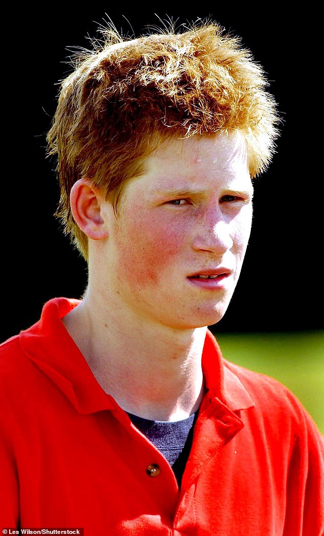 The young prince attended a charity event at a polo field in Tidworth, Wiltshire, in 2002